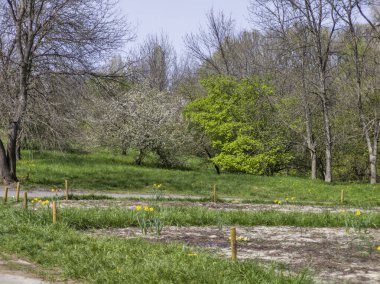 Bulgaristan 'ın Sofya kentindeki South Park' ın İnanılmaz Bahar Manzarası