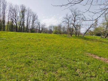 Bulgaristan 'ın Sofya kentindeki South Park' ın İnanılmaz Bahar Manzarası