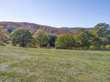Plana Dağı 'nın şaşırtıcı sonbahar manzarası, Sofya bölgesi, Bulgaristan
