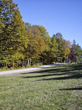 Plana Dağı 'nın şaşırtıcı sonbahar manzarası, Sofya bölgesi, Bulgaristan