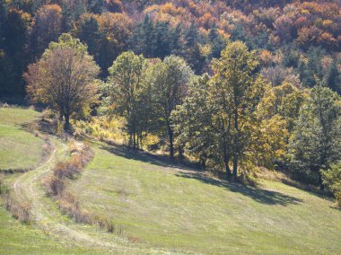 Plana Dağı 'nın şaşırtıcı sonbahar manzarası, Sofya bölgesi, Bulgaristan