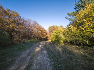 Plana Dağı 'nın şaşırtıcı sonbahar manzarası, Sofya bölgesi, Bulgaristan