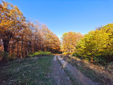 Plana Dağı 'nın şaşırtıcı sonbahar manzarası, Sofya bölgesi, Bulgaristan