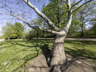 Ruins of Roman fortifications in ancient city of Diocletianopolis, town of Hisarya, Plovdiv Region, Bulgaria