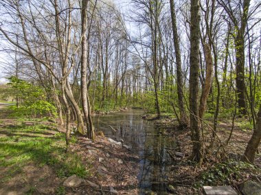 Bulgaristan 'ın Sofya kentindeki South Park' ın İnanılmaz Bahar Manzarası