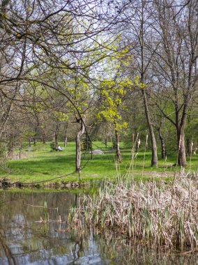 Bulgaristan 'ın Sofya kentindeki South Park' ın İnanılmaz Bahar Manzarası