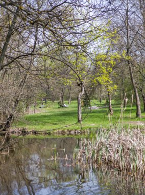 Bulgaristan 'ın Sofya kentindeki South Park' ın İnanılmaz Bahar Manzarası