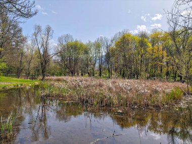 Bulgaristan 'ın Sofya kentindeki South Park' ın İnanılmaz Bahar Manzarası