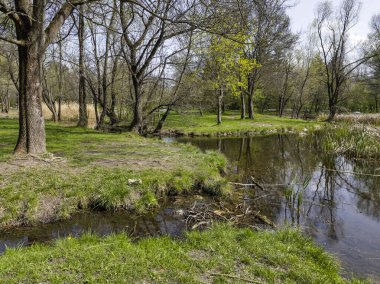 Bulgaristan 'ın Sofya kentindeki South Park' ın İnanılmaz Bahar Manzarası