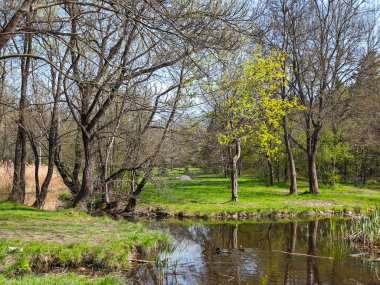 Bulgaristan 'ın Sofya kentindeki South Park' ın İnanılmaz Bahar Manzarası