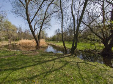 Bulgaristan 'ın Sofya kentindeki South Park' ın İnanılmaz Bahar Manzarası