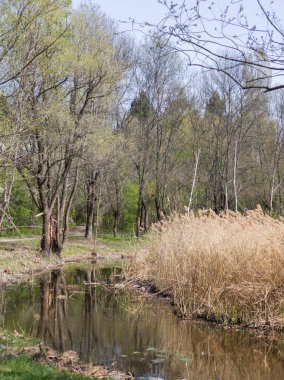 Bulgaristan 'ın Sofya kentindeki South Park' ın İnanılmaz Bahar Manzarası