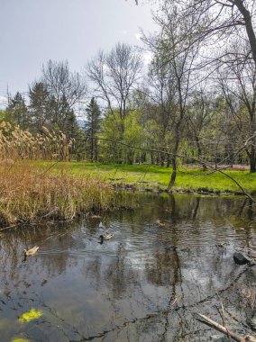 Bulgaristan 'ın Sofya kentindeki South Park' ın İnanılmaz Bahar Manzarası