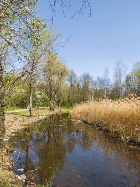 Bulgaristan 'ın Sofya kentindeki South Park' ın İnanılmaz Bahar Manzarası