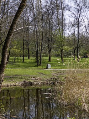 Bulgaristan 'ın Sofya kentindeki South Park' ın İnanılmaz Bahar Manzarası