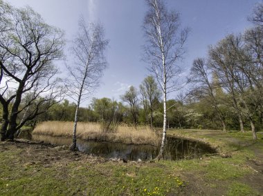 Bulgaristan 'ın Sofya kentindeki South Park' ın İnanılmaz Bahar Manzarası