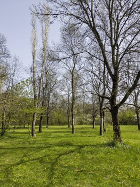 Bulgaristan 'ın Sofya kentindeki South Park' ın İnanılmaz Bahar Manzarası