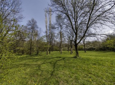 Bulgaristan 'ın Sofya kentindeki South Park' ın İnanılmaz Bahar Manzarası