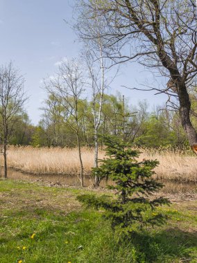 Bulgaristan 'ın Sofya kentindeki South Park' ın İnanılmaz Bahar Manzarası