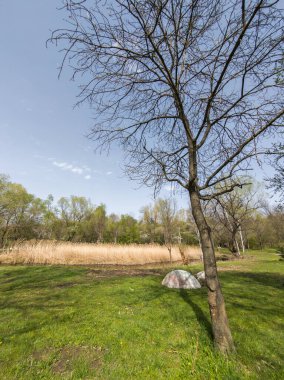 Bulgaristan 'ın Sofya kentindeki South Park' ın İnanılmaz Bahar Manzarası