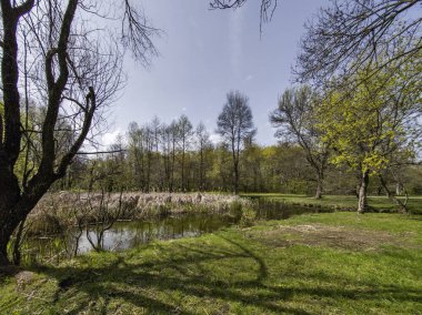 Bulgaristan 'ın Sofya kentindeki South Park' ın İnanılmaz Bahar Manzarası