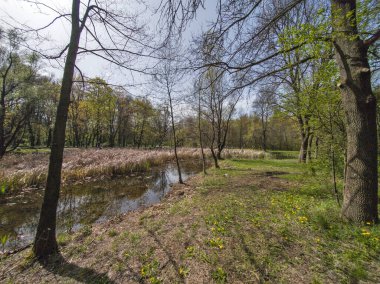 Bulgaristan 'ın Sofya kentindeki South Park' ın İnanılmaz Bahar Manzarası