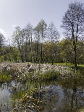 Bulgaristan 'ın Sofya kentindeki South Park' ın İnanılmaz Bahar Manzarası