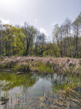 Bulgaristan 'ın Sofya kentindeki South Park' ın İnanılmaz Bahar Manzarası