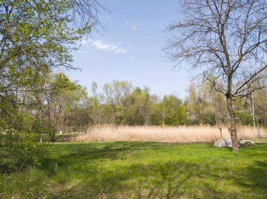 Bulgaristan 'ın Sofya kentindeki South Park' ın İnanılmaz Bahar Manzarası