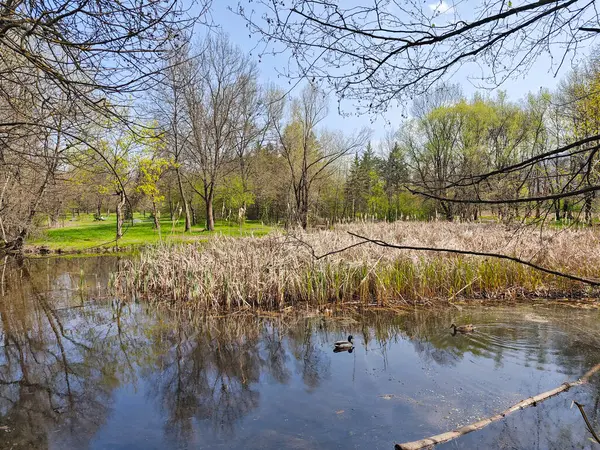 Bulgaristan 'ın Sofya kentindeki South Park' ın İnanılmaz Bahar Manzarası