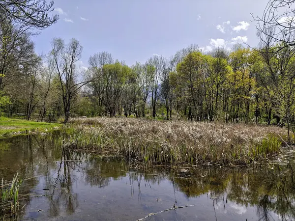 Bulgaristan 'ın Sofya kentindeki South Park' ın İnanılmaz Bahar Manzarası