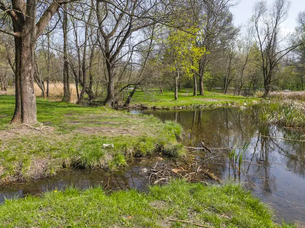 Bulgaristan 'ın Sofya kentindeki South Park' ın İnanılmaz Bahar Manzarası