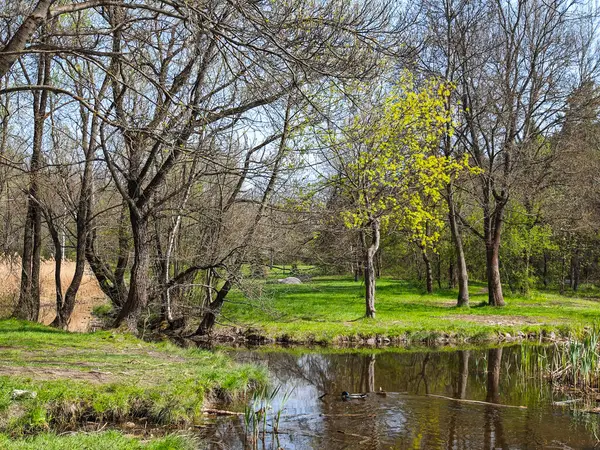 Bulgaristan 'ın Sofya kentindeki South Park' ın İnanılmaz Bahar Manzarası