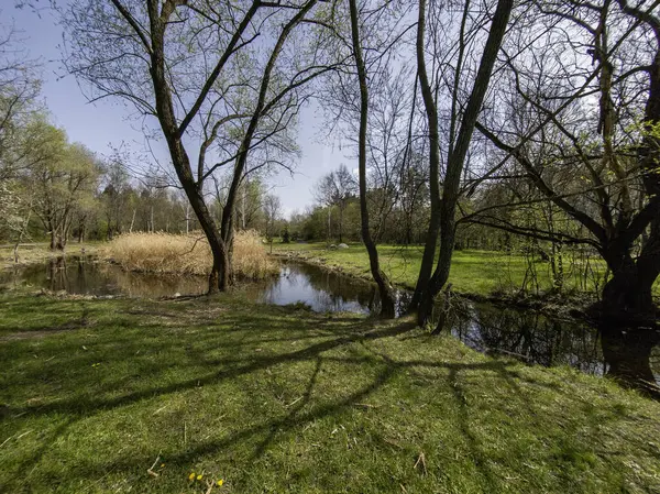 Bulgaristan 'ın Sofya kentindeki South Park' ın İnanılmaz Bahar Manzarası