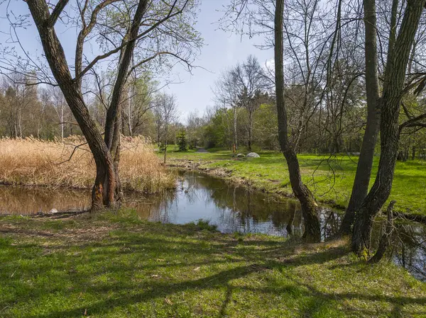 Bulgaristan 'ın Sofya kentindeki South Park' ın İnanılmaz Bahar Manzarası