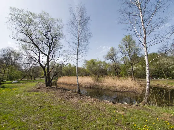 Bulgaristan 'ın Sofya kentindeki South Park' ın İnanılmaz Bahar Manzarası