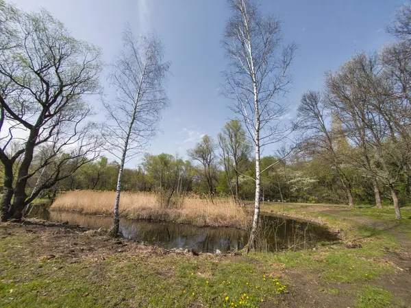 Bulgaristan 'ın Sofya kentindeki South Park' ın İnanılmaz Bahar Manzarası