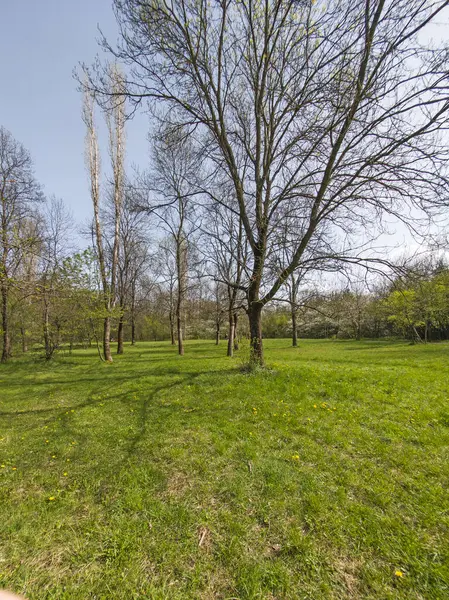 Bulgaristan 'ın Sofya kentindeki South Park' ın İnanılmaz Bahar Manzarası