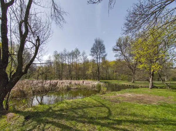 Bulgaristan 'ın Sofya kentindeki South Park' ın İnanılmaz Bahar Manzarası