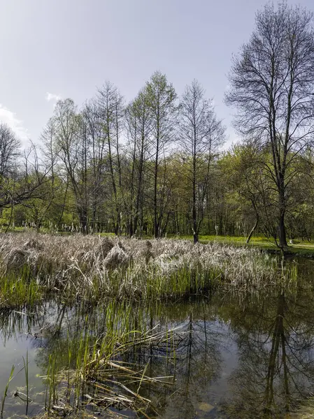 Bulgaristan 'ın Sofya kentindeki South Park' ın İnanılmaz Bahar Manzarası