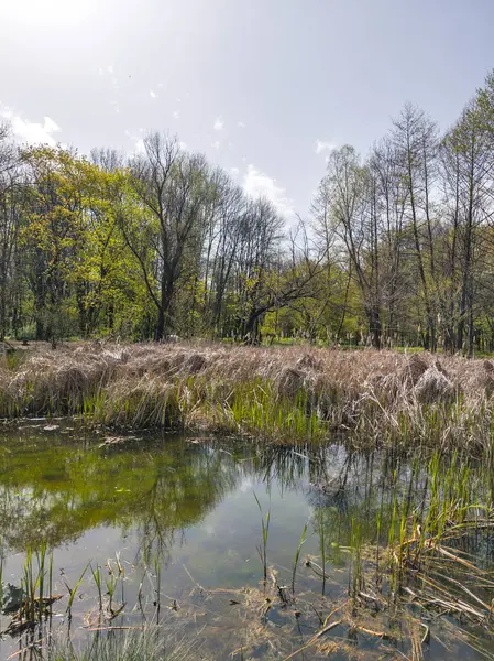 Bulgaristan 'ın Sofya kentindeki South Park' ın İnanılmaz Bahar Manzarası