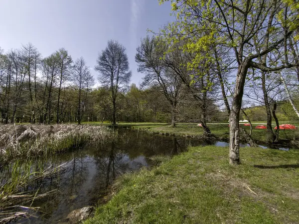 Bulgaristan 'ın Sofya kentindeki South Park' ın İnanılmaz Bahar Manzarası