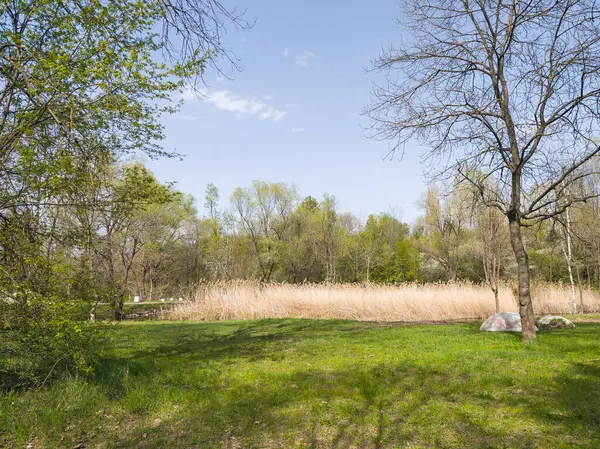 Bulgaristan 'ın Sofya kentindeki South Park' ın İnanılmaz Bahar Manzarası