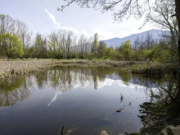 Bulgaristan 'ın Sofya kentindeki South Park' ın İnanılmaz Bahar Manzarası