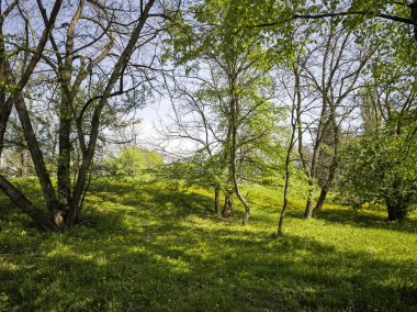 Bulgaristan 'ın Sofya kentindeki South Park' ın Muhteşem Bahar Panoraması