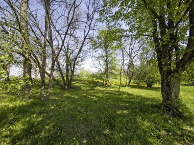 Bulgaristan 'ın Sofya kentindeki South Park' ın Muhteşem Bahar Panoraması