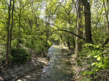 Bulgaristan 'ın Sofya kentindeki South Park' ın Muhteşem Bahar Panoraması