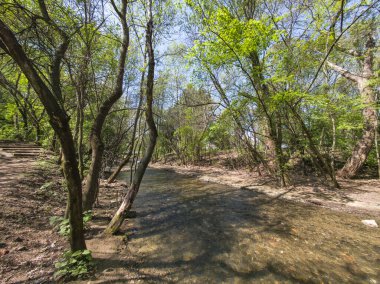 Bulgaristan 'ın Sofya kentindeki South Park' ın Muhteşem Bahar Panoraması