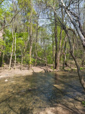 Bulgaristan 'ın Sofya kentindeki South Park' ın Muhteşem Bahar Panoraması