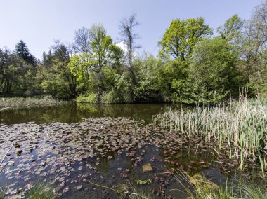 Bulgaristan 'ın Sofya kentindeki South Park' ın Muhteşem Bahar Panoraması